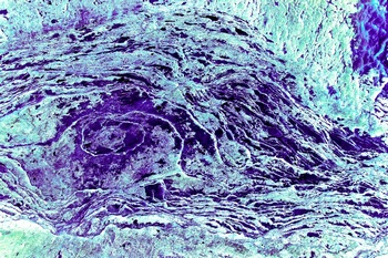 AP 38A2